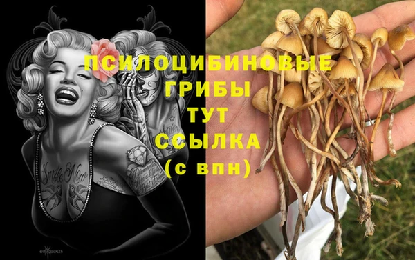 a pvp Богородицк