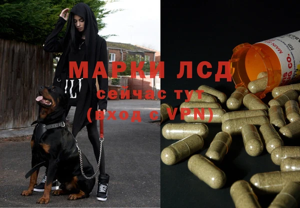 МДМА Богданович