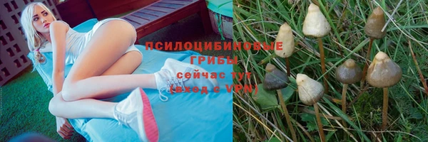 бутират Богородск
