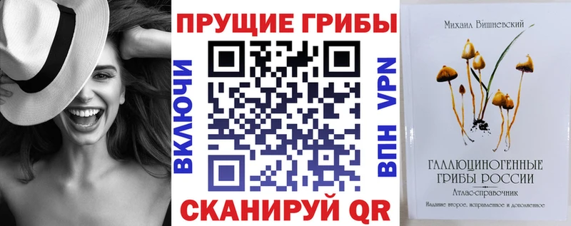 Псилоцибиновые грибы Cubensis Кстово
